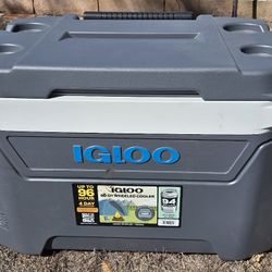 Igloo 60qt Cooler
