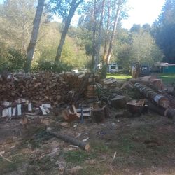 Firewood Alder, Fir And Maple Mixed By Honest People