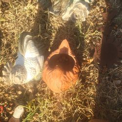 Who Wants A Chicken Pot?