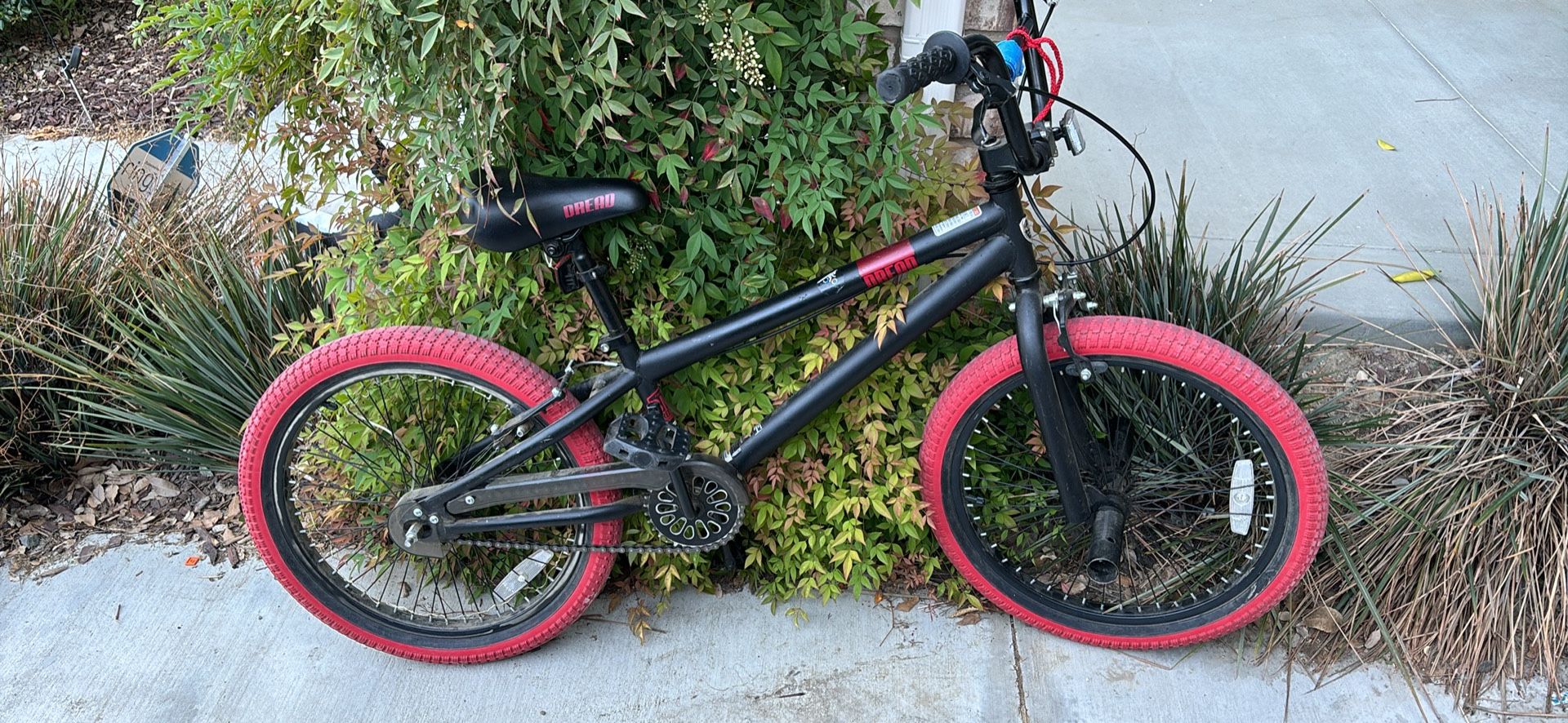 Kids Bike Dread, 20 Inch Wheels