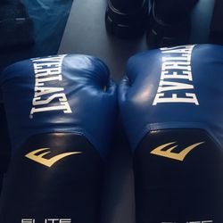 Sparring Gloves