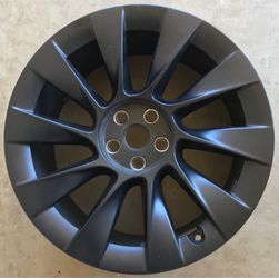 1 Model Y Induction 20” rim