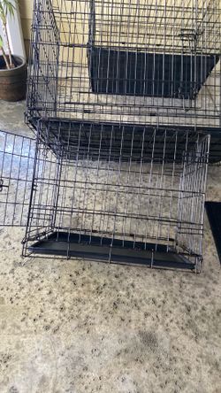 Foldable Dog Crates