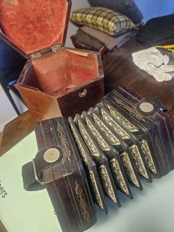 English accordion (concertina)