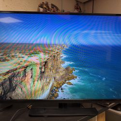 VIZIO - E-Series 39" Class (38-1/2" Diag.) - LED - 1080p - HDTV! Works great!