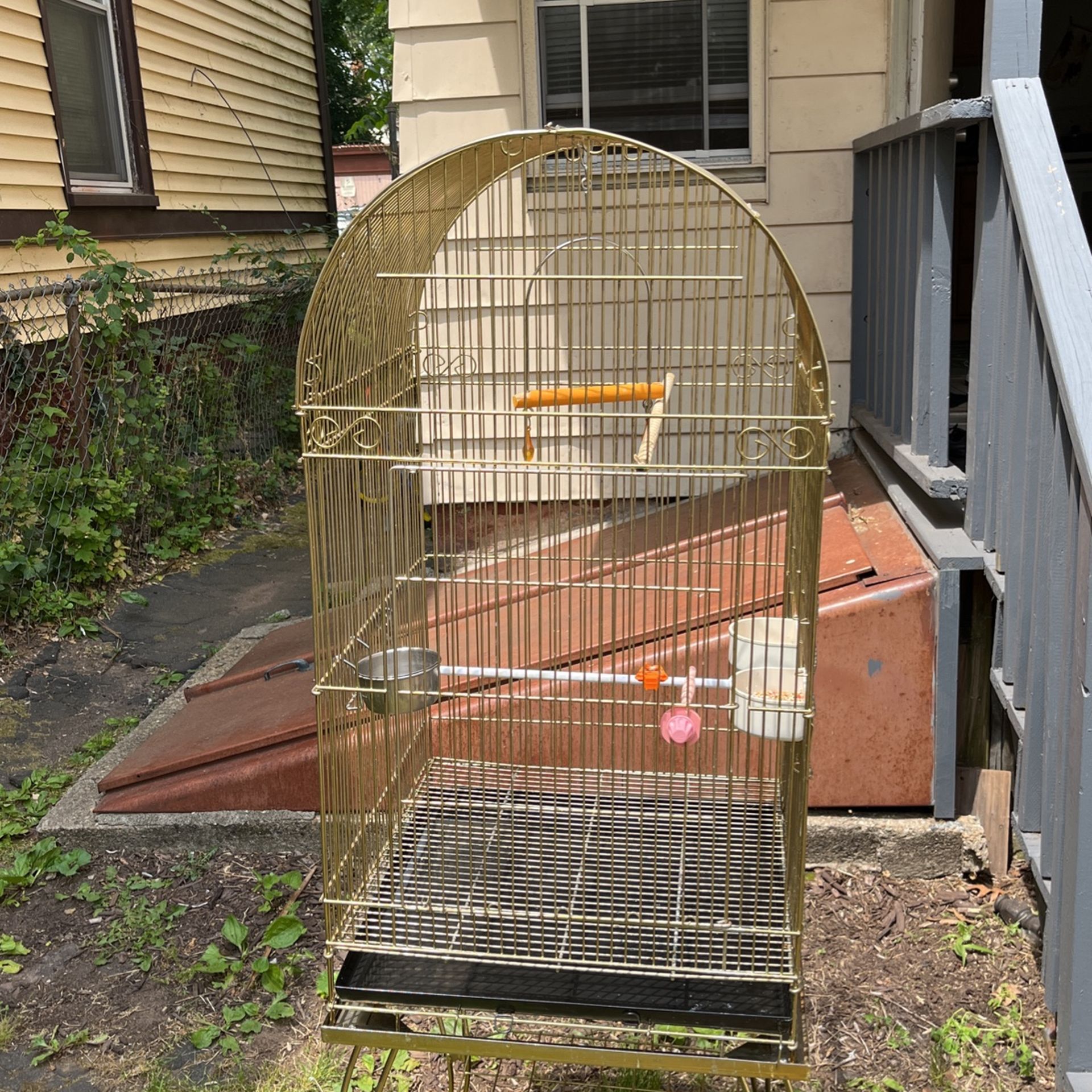Cage