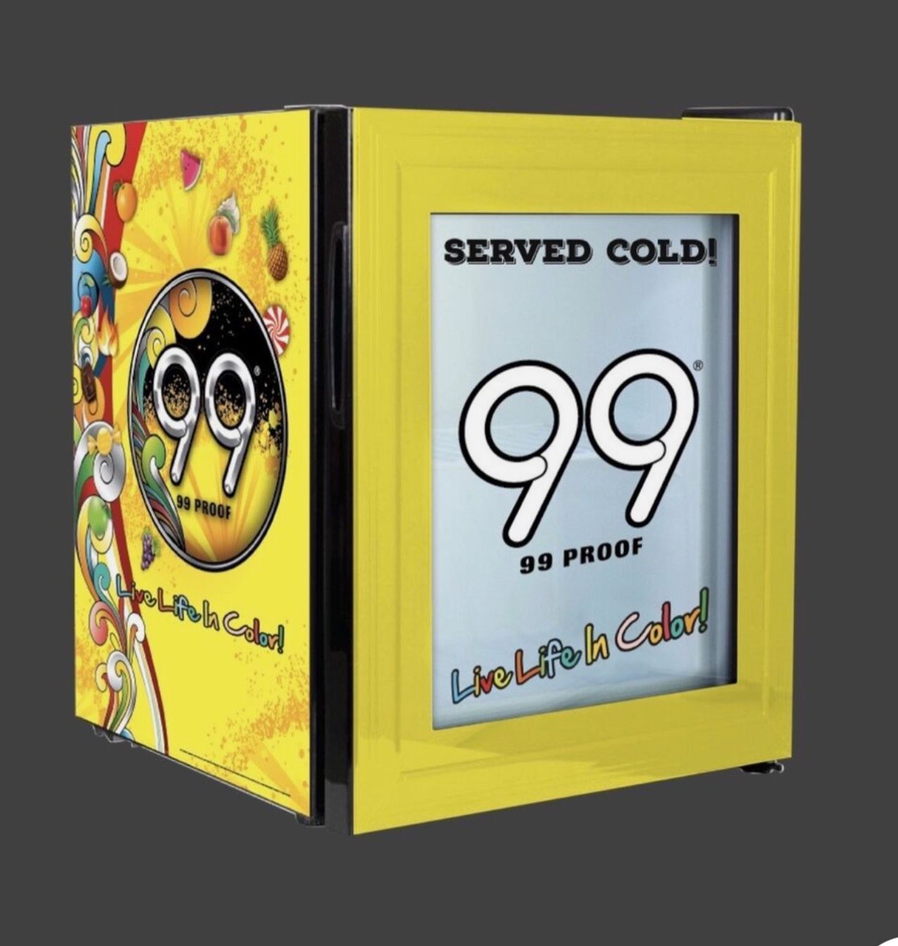 Mini Fridge