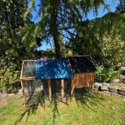 Chicken coop 