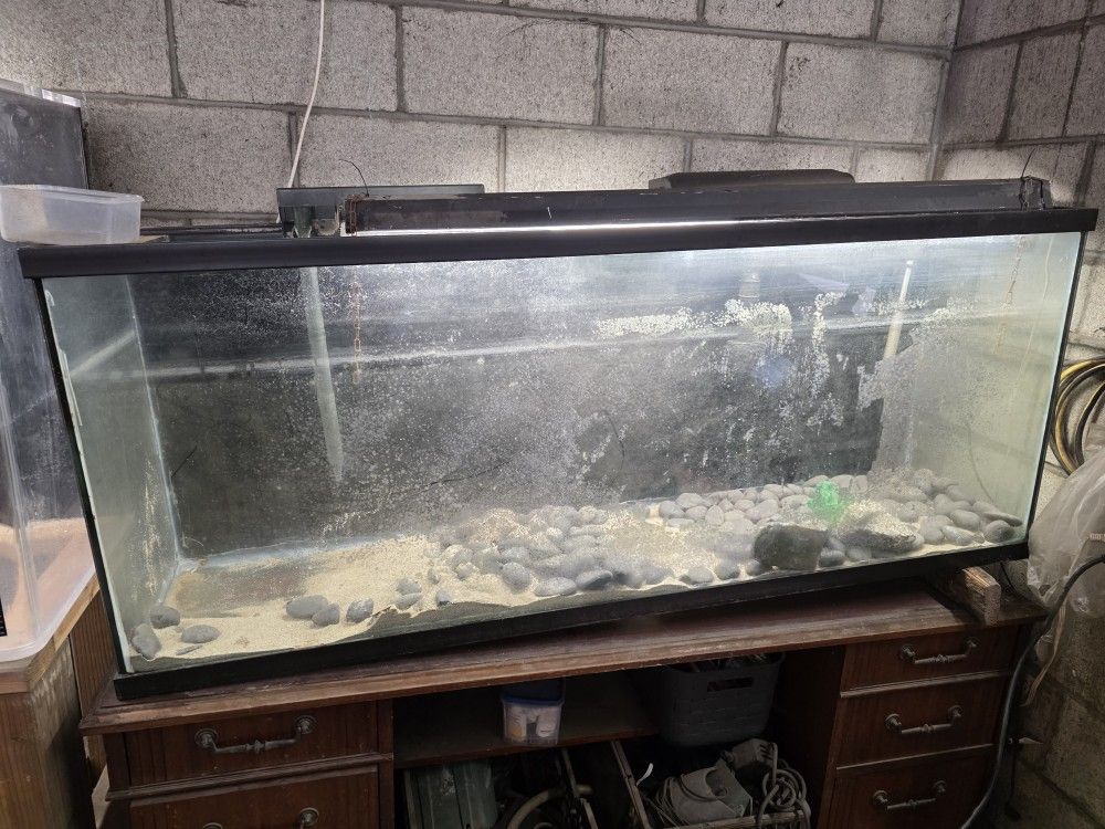 100g Fishtank