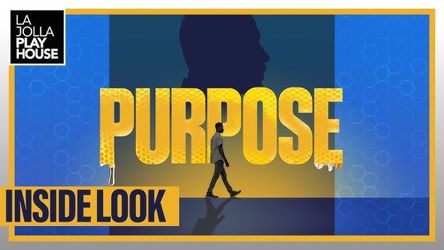 Purpose play theater 2 tickets at La Jolla playhouse 6/6 2pm