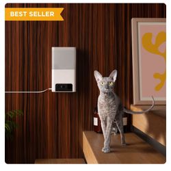 2 Petcube Pet cameras (for Cats or Dogs) 