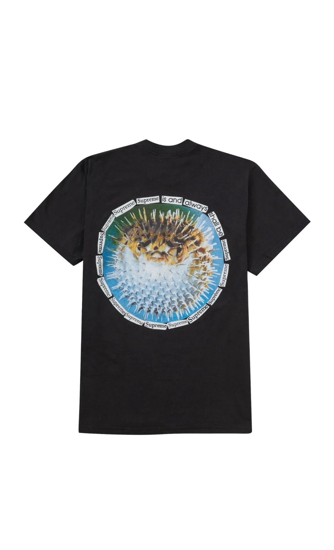 Supreme Blowfish Tee Black