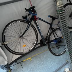 Bicycleta