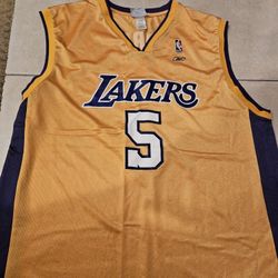 Lakers Robert Horry Jersey XL 
