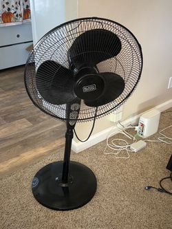 Fan