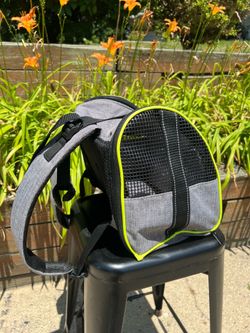 God/cat carrier