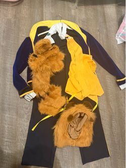 Beauty and the beast costume
