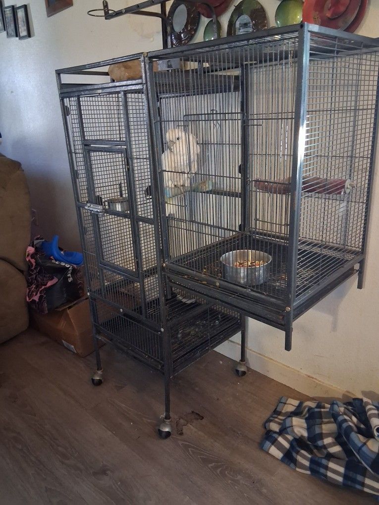 Umbrella  Cocktail Bird Cage