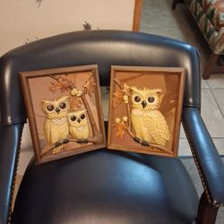 Two Framed Owls