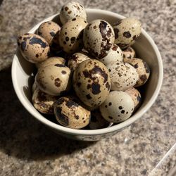 Quail Eggs And Free Range Chicken Eggs 