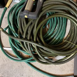 Hoses And Sprinkle 