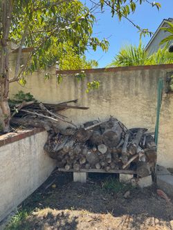 Firewood pine
