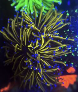 Fake Fish Tank Decoration 