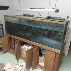 BIG Tank & Huge Selections