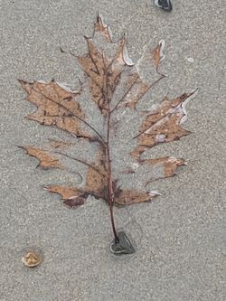 Make Offer On Anything I’m Selling 