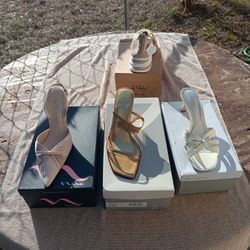 Heels And Comfortable  Walking Shoes 