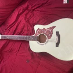Acoustic Guitar Dreadnought Style 