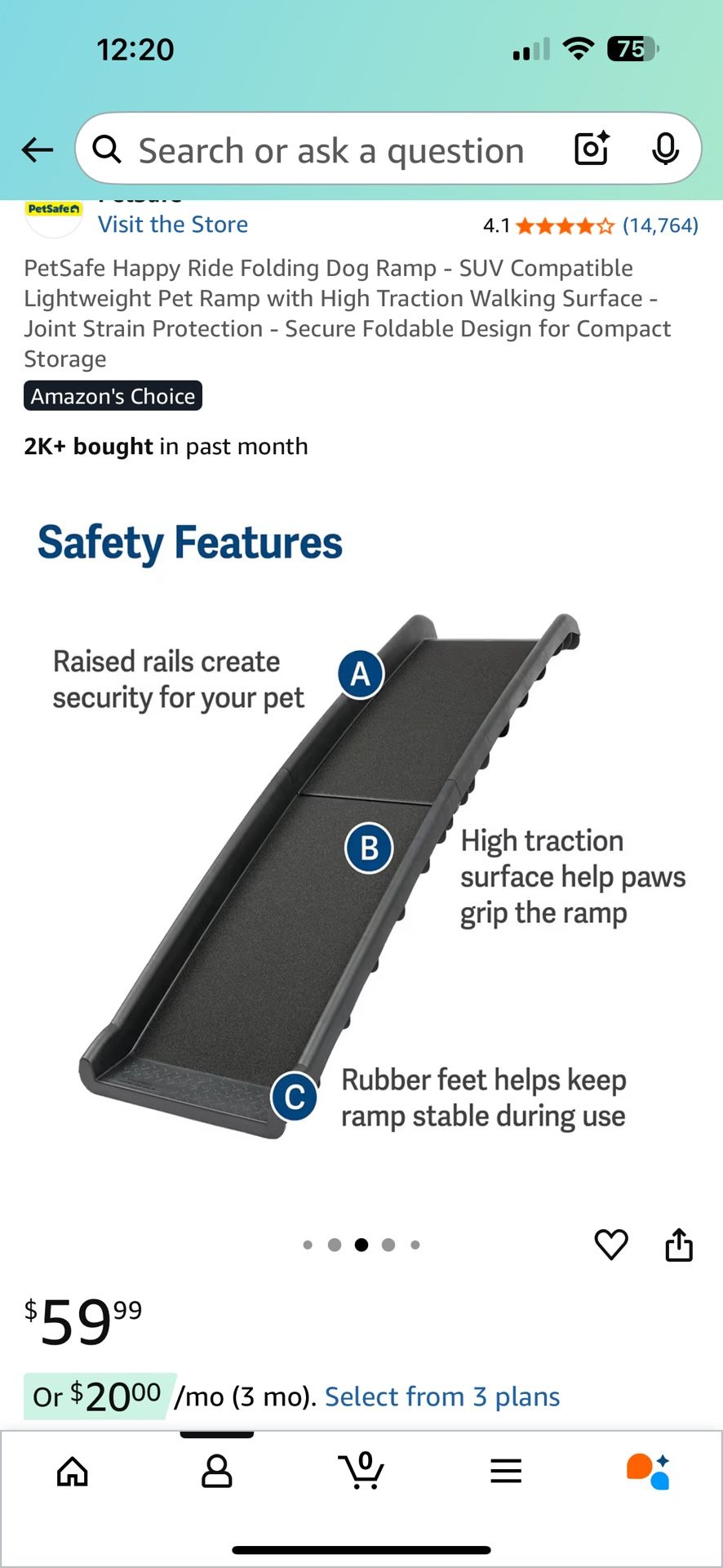 Dog Ramp folds in half