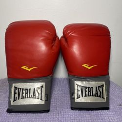 Everlast Training Gloves 