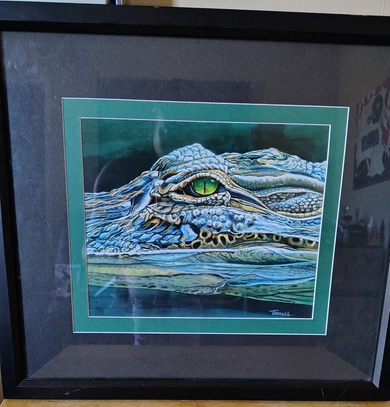 Alligator Eye Art 18 x 16 Obo
