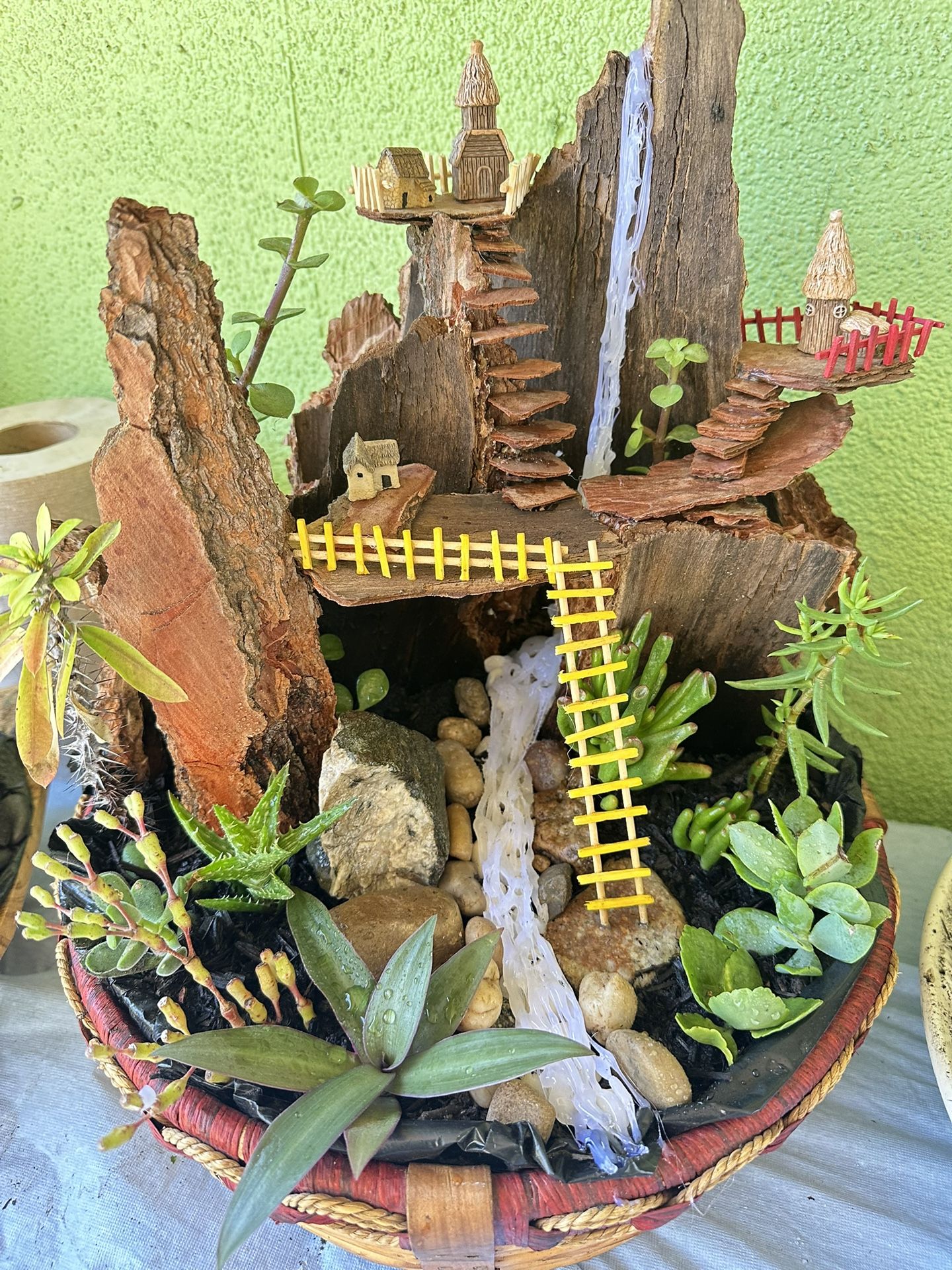 Succulent Arrangement