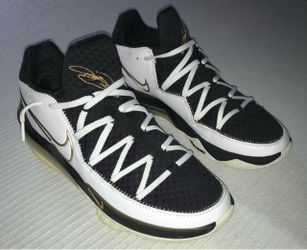 NIKE LEBRON 17 LOW. (make a offer)