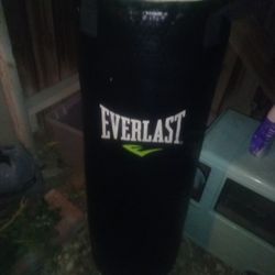 Everlast Punching Bag 