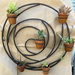 Hanging Metal Holder With Plants