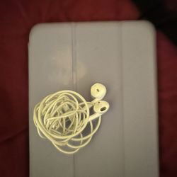 Apple Headphones 