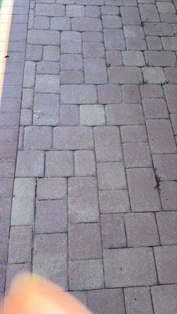 Pavers for $200