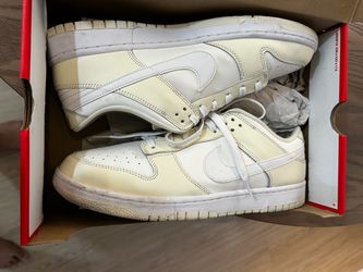 Nike Dunks low retro