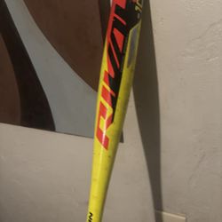 Baseball Bat
