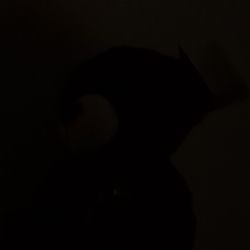 Brown Love Bear. Sings One Song.  And Moves From Left To Right.