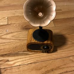 Speaker