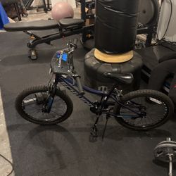 Schwinn 20 Bike 