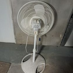 Fan 