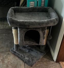 Cat /Scratch And Sleep House