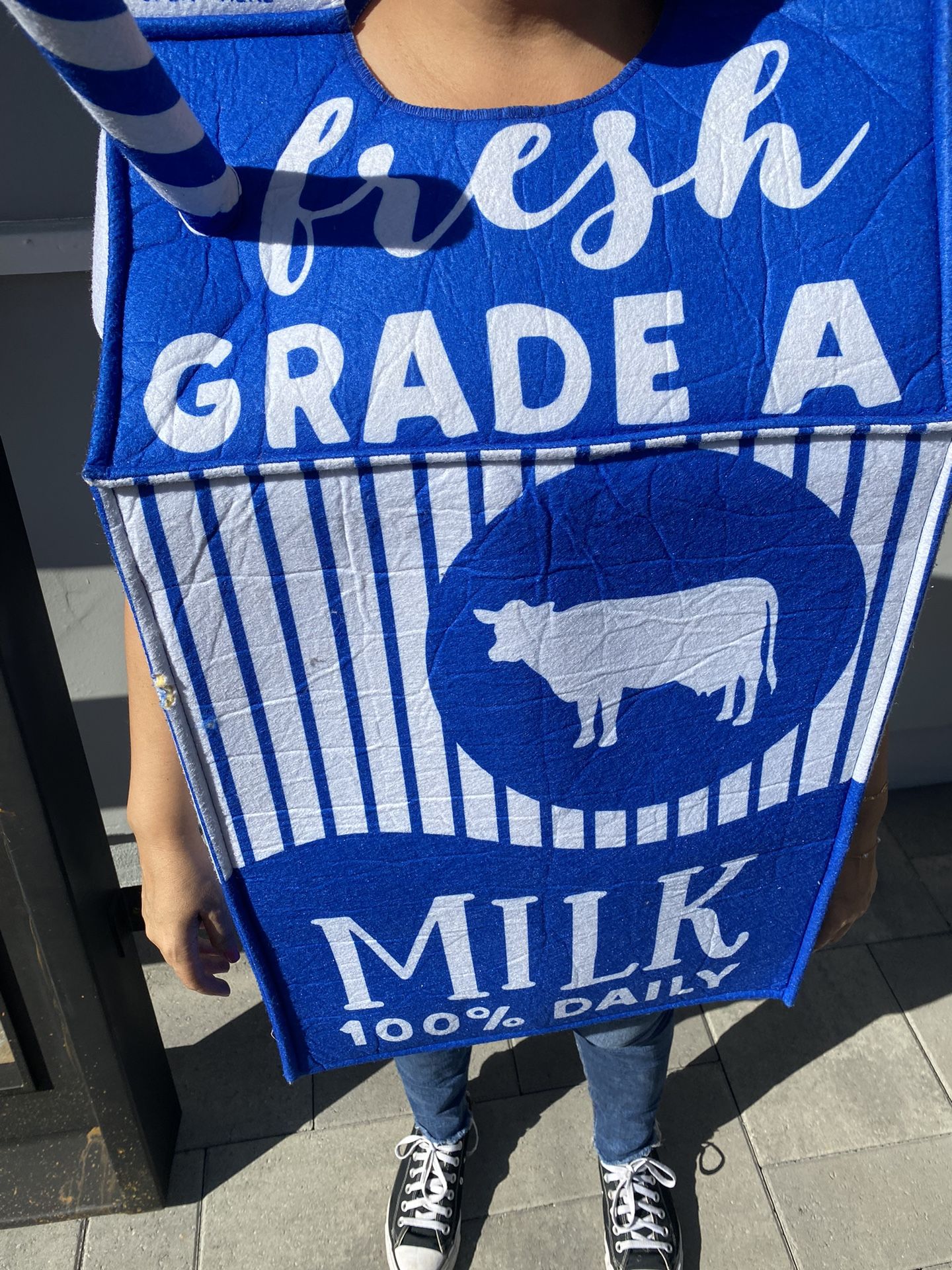 Milk Carton Costume From Target