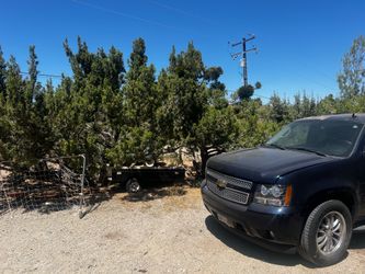 07 chevy tahoe ltz