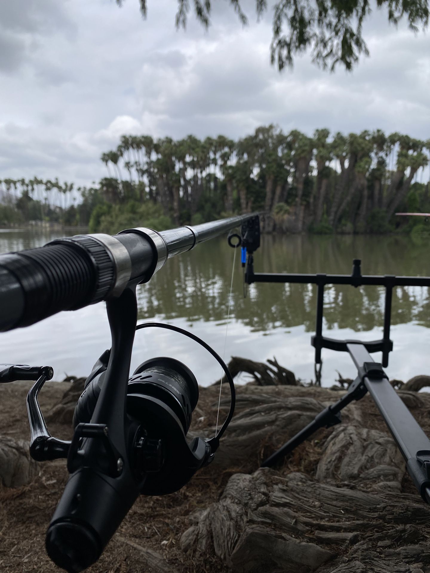 Fishing Rods